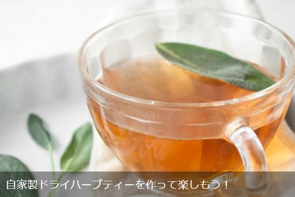 Lovegreen Ecストアオープンしました 自家製ドライハーブティーを作って楽しもう T Co Tq9auj0scm フレッシュハーブティー お茶 ドライハーブティ ハーブ ハーブティー T Co B9fc2obmmg