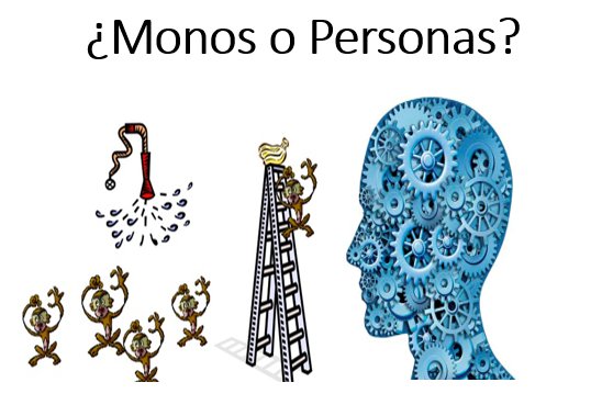 Hoy nuevo post, ¿Monos o personas? elige tu bando y el de los que te rodean.
greenfinanzas.com/personas-o-mon…