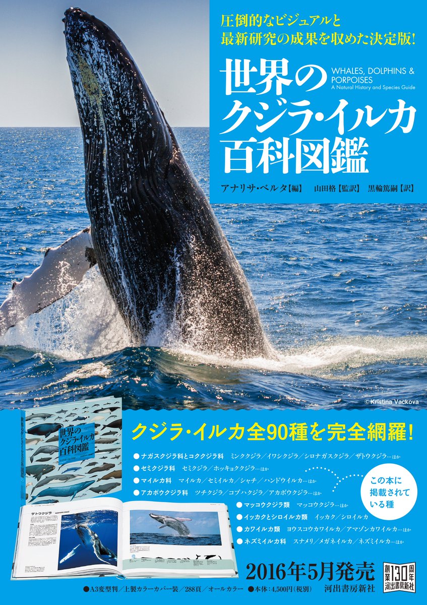 3819 外国切手 ガンビア 1996年 クジラ イルカ 4種+小型シート 3819 外国切手 ガンビア 1996年 クジラ イルカ 4種+小型シート