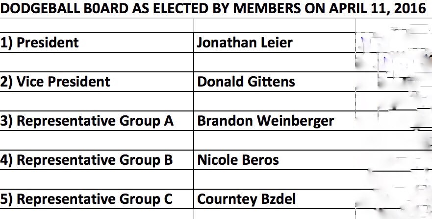 DECAdodgeball's tweet photo. DECA election results #congrats https://t.co/8Pz2aRXWxP