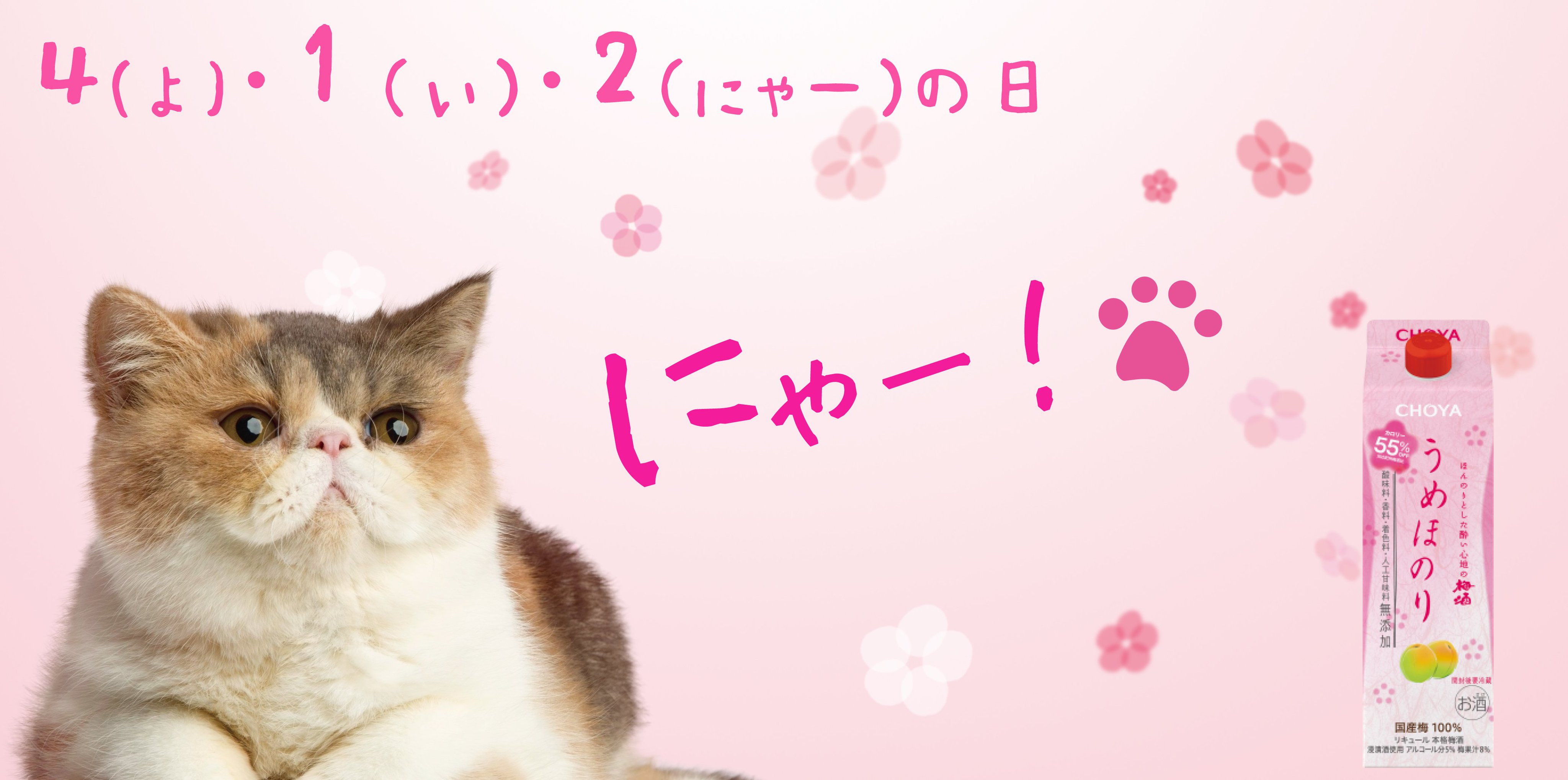 Choya チョーヤ梅酒 本日は４ よ １ い ２ にゃー の日 なんていかがでしょう 猫 のアリスも大活躍 倉科かな さんがcmキャラクターの うめほのり Cm はこちらから T Co Tbl7vd2ocu T Co Btuarpcwa1 Twitter