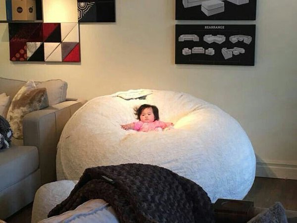 8_Semesters's tweet photo. I aspire to reach this level of comfort https://t.co/OfN164hOLD