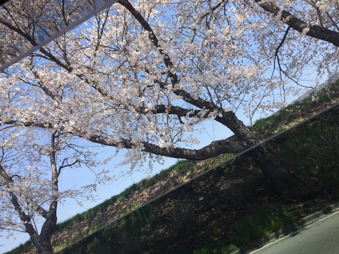 今回のロケはある土地に！あるメーカー様の！ある4作目の！ある作品です！  楽しみにしてて https://t.co/NsfDK9AG9H