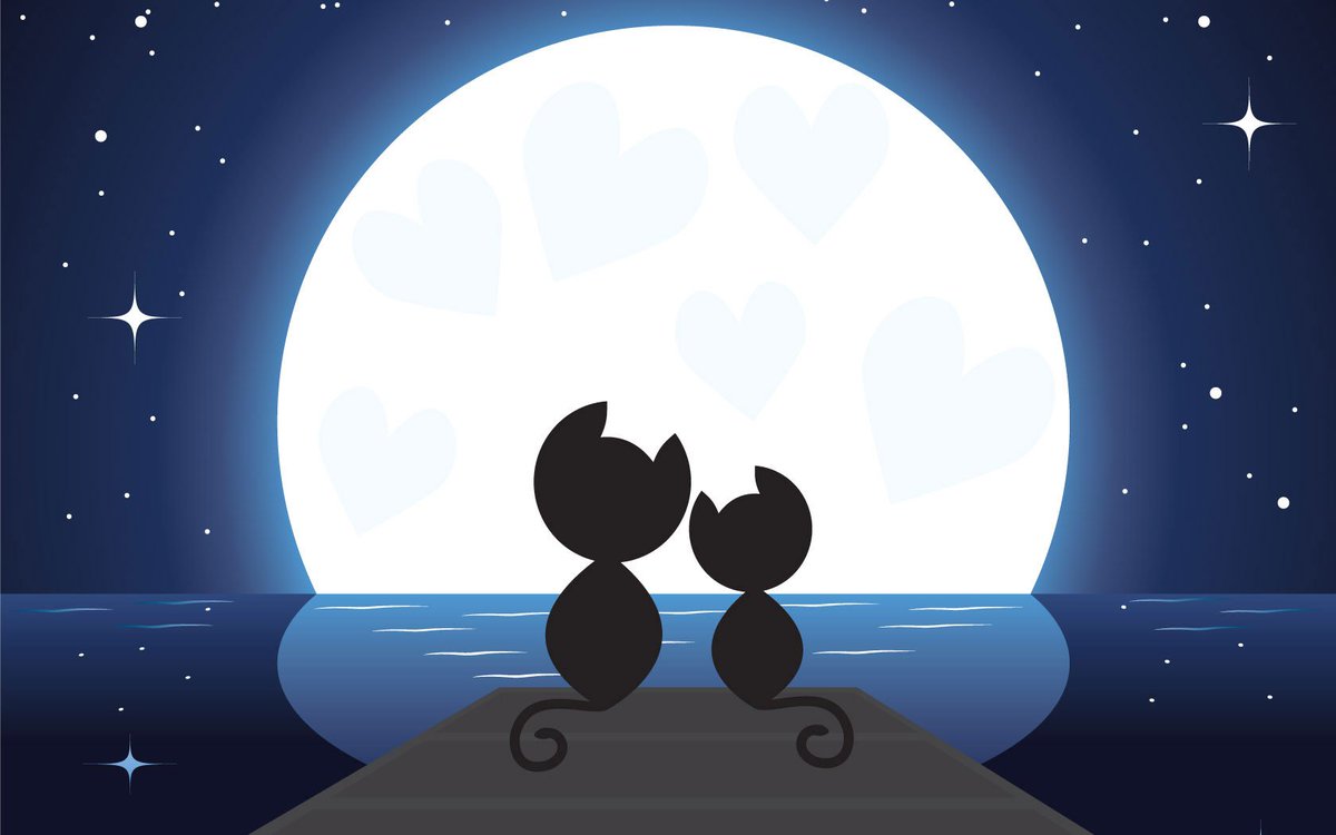 GothamsBatLife's tweet photo. Watching the Stars #BooBooLife
@LuvBronx Her tail is longer than mine!! https://t.co/djT4Zi3ZCw