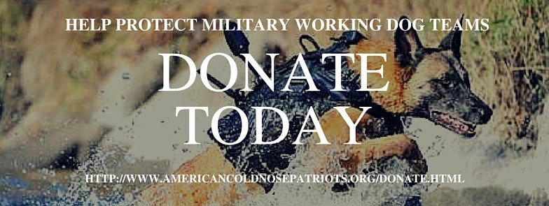 ACNP_org's tweet photo. We have teams deploying soon and need your support. Donate today at https://t.co/6FkRIXtB8Z  #SupportOurTroops #K9 https://t.co/ooirluLSE0