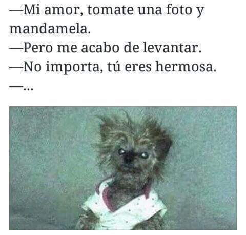 aaroncinn's tweet photo. Jajajajaja dejare esto por aquí y me iré lentamente.😂😂😂😂 https://t.co/TQJfSn5Nfq
