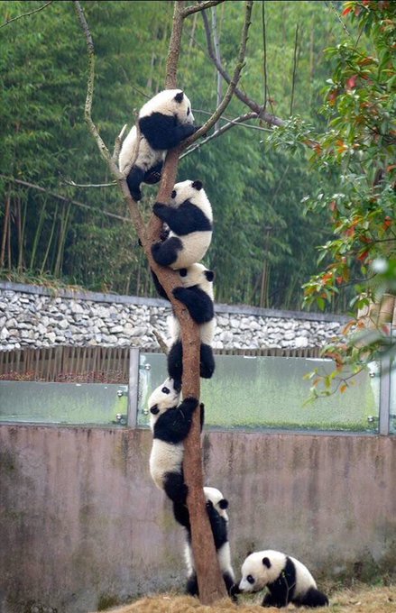 Watch Juanmao's leaked NSFW photo on TwXstars