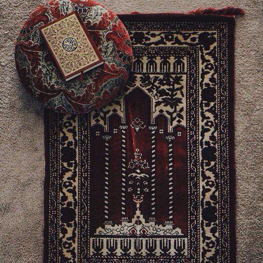 تصدق عند 360 مفصل في جسدك
بركعتين تؤديهما في الضحى 🌸

#الضحى #صلاة_الاوابين