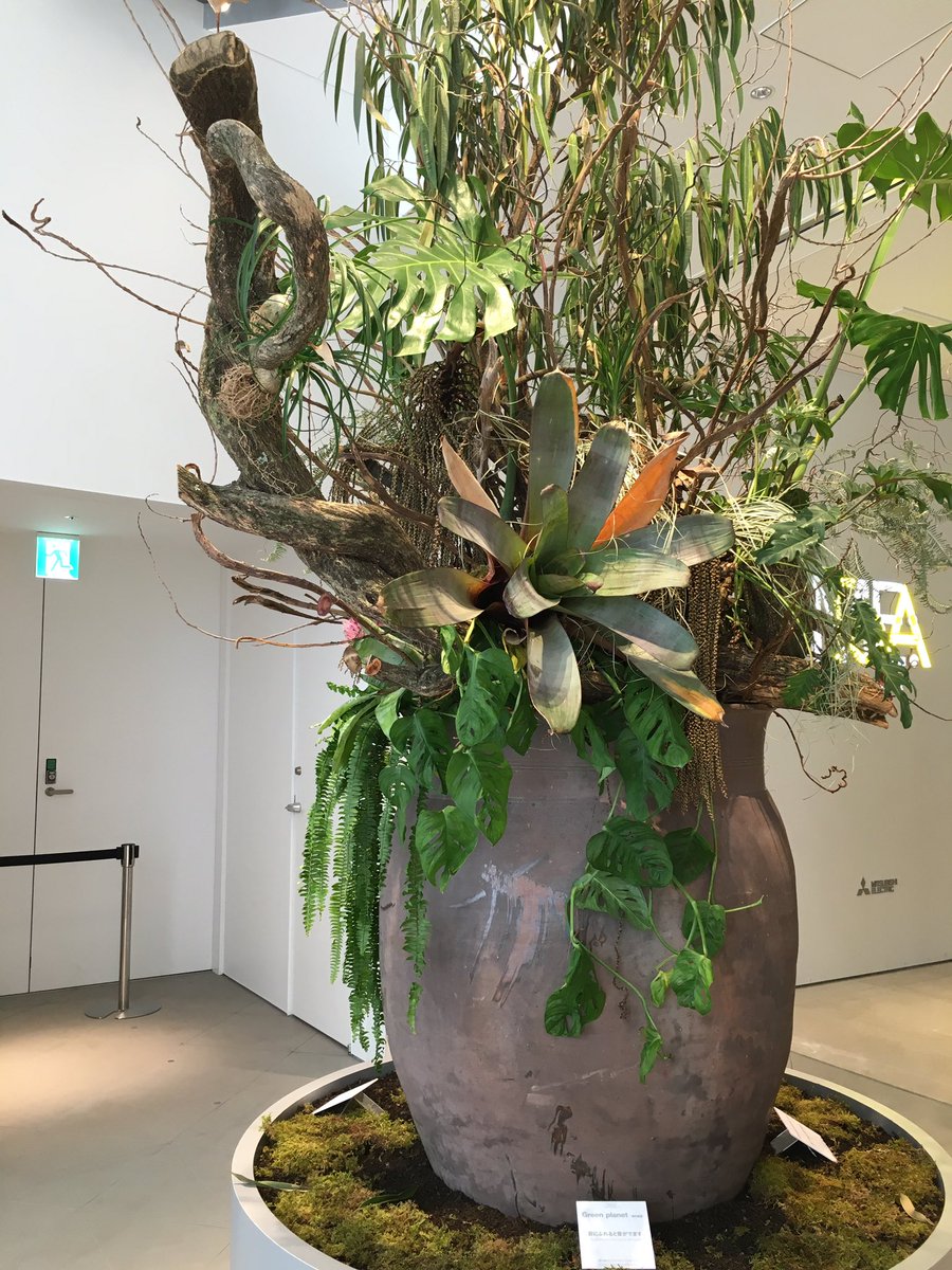 RiyaM87566907's tweet photo. 超可愛いセレクトショップ見つけた‼︎新しくできた銀座東急プラザ?の中にあるconcentoってお店‼︎ドツボすぎてなんか買っちゃったよ。あぁ、ヤバイ。お洋服大好きすぎる�� ; ; )
#concento
#MSGM
#MM6 https://t.co/939FkhExyh