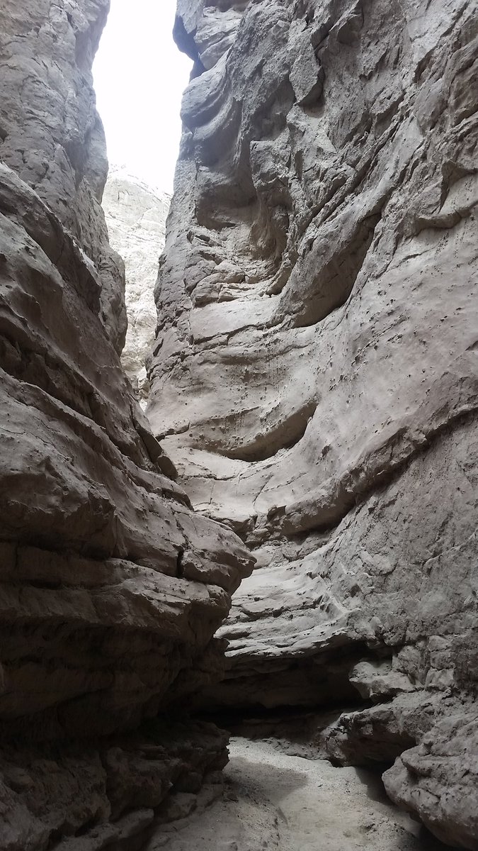 Hiking tweet media