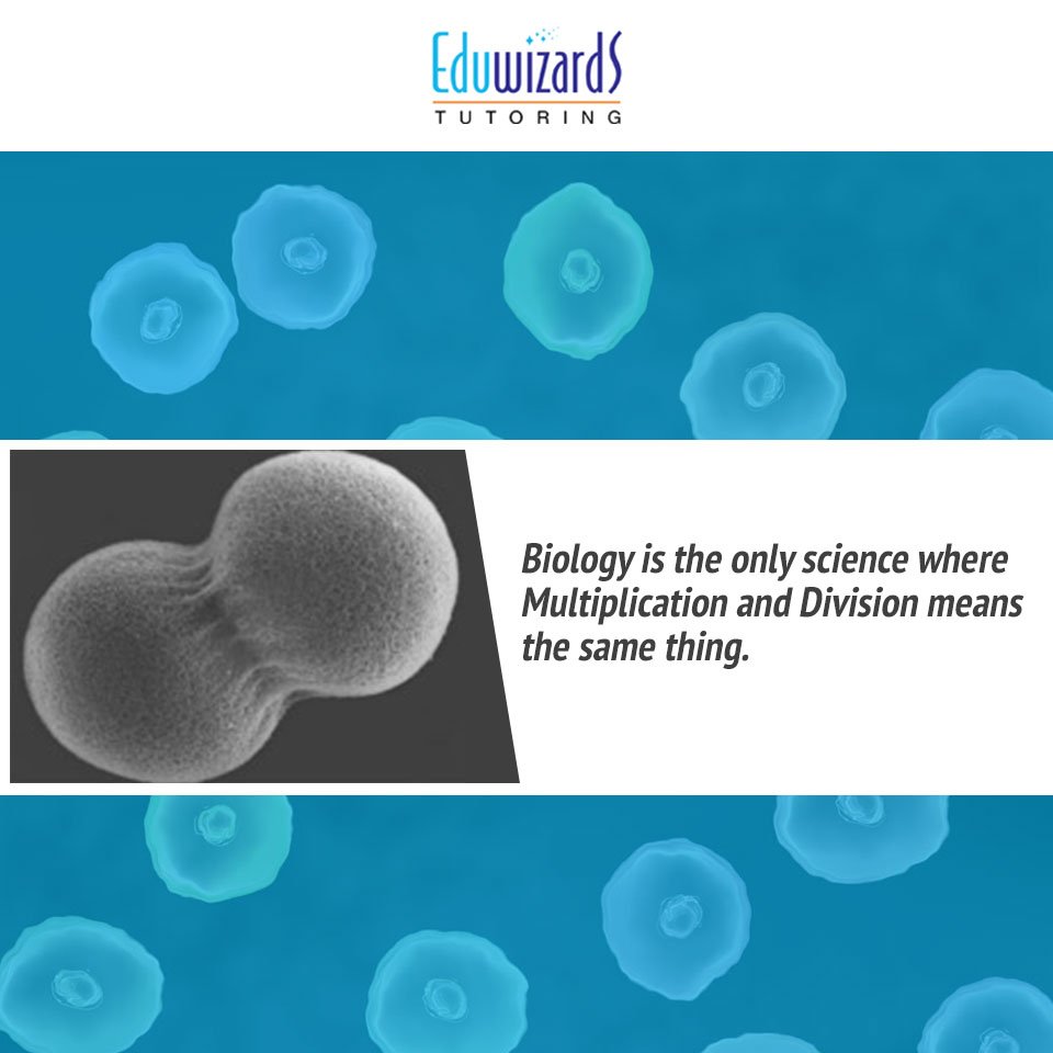 EduwizardsIndia's tweet photo. A Popular Biology Joke! #jokes #biology #biologyjokes
#laughterparty https://t.co/jKF56DO0wv