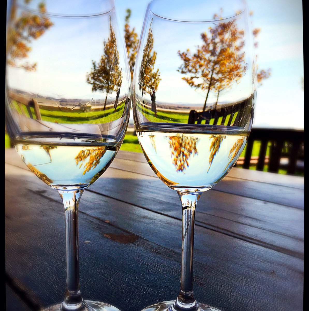 weskusbokkie's tweet photo. autumn falls 🍃🍂 @SpiceRoutePaarl @paarlwineroute @paarltourism #wine #tasting #outdoors #paarl @PurelyLocalBW https://t.co/fDJ1bCaSYX