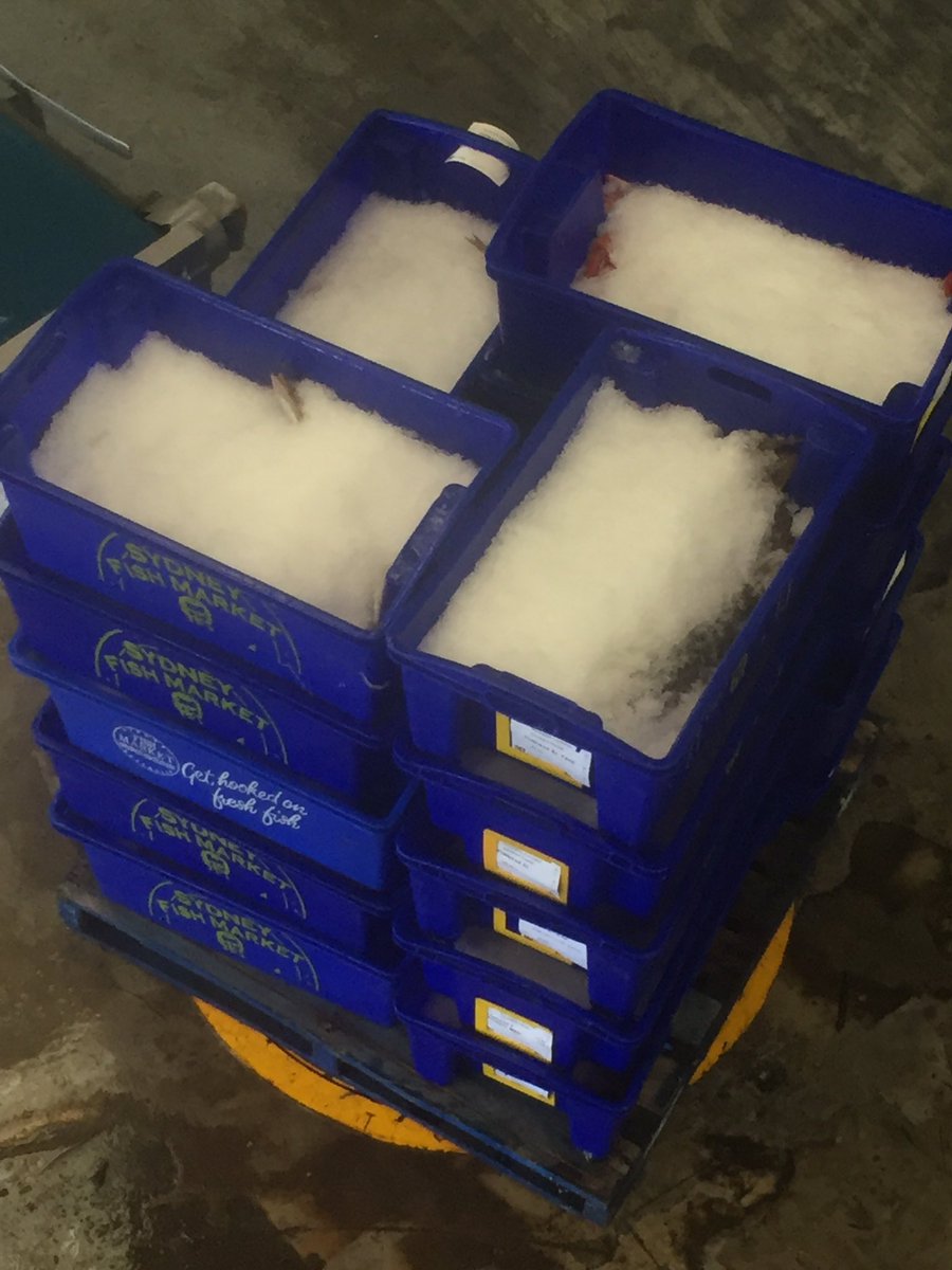 LEFCOL's tweet image. Find us at @GasworksArts this Saturday for all your usual favourites! It's worth the trip 🤗 @MelbFarmersMkts