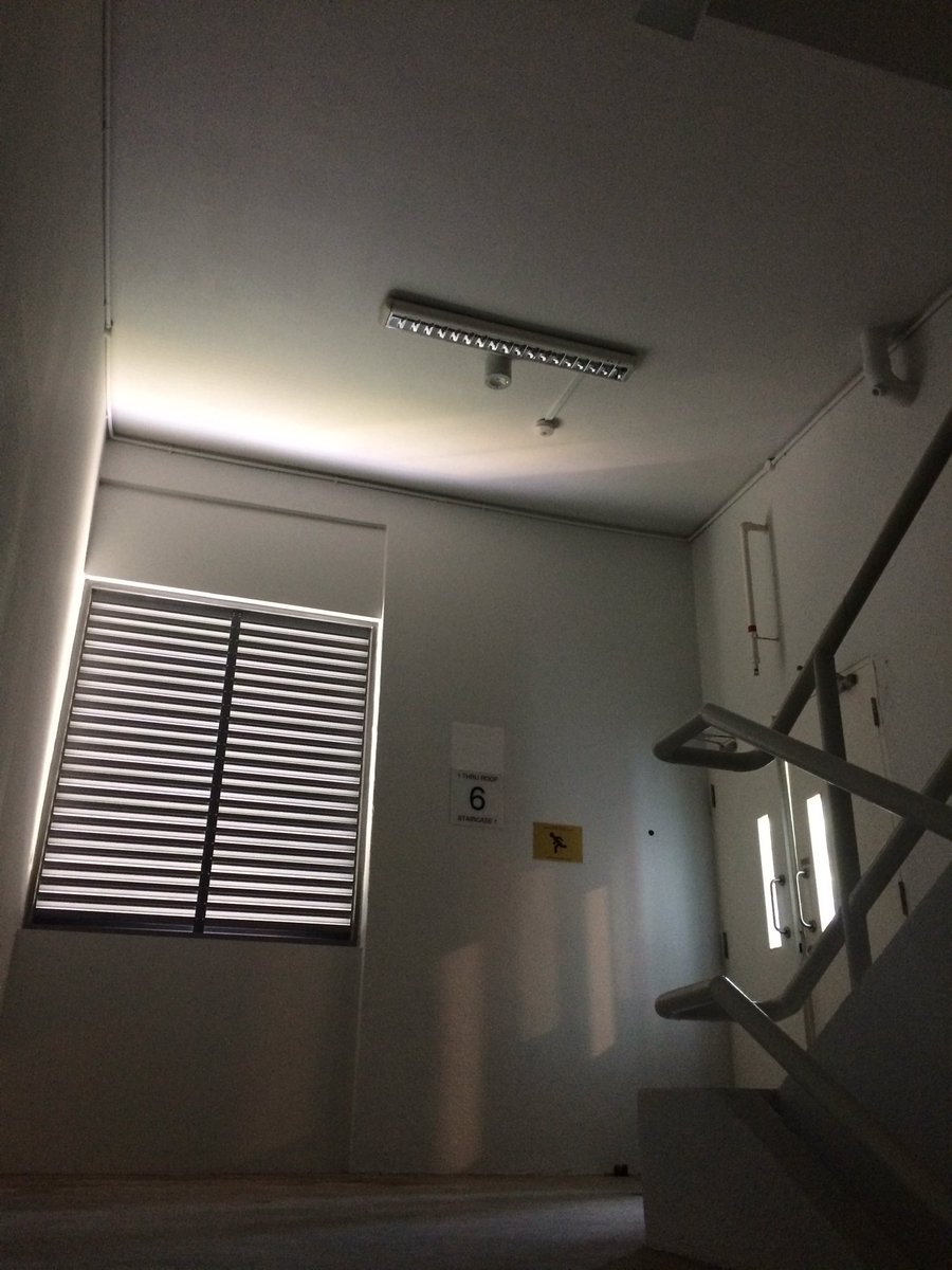 ArcAmphion's tweet photo. Let there be daylight! #61sbd #npgreen https://t.co/xTSZhrtjcr
