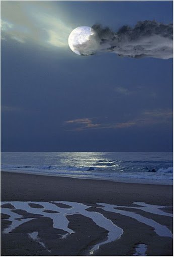 sharingpicture tweet picture