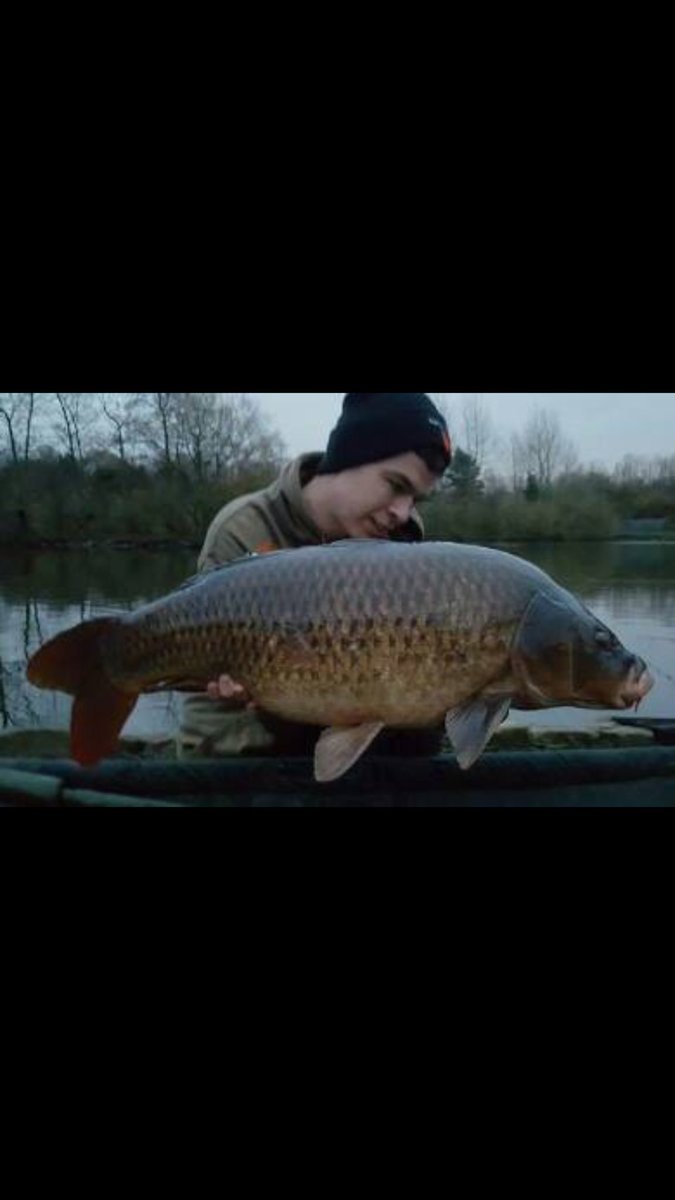 NorthEastBaits tweet picture