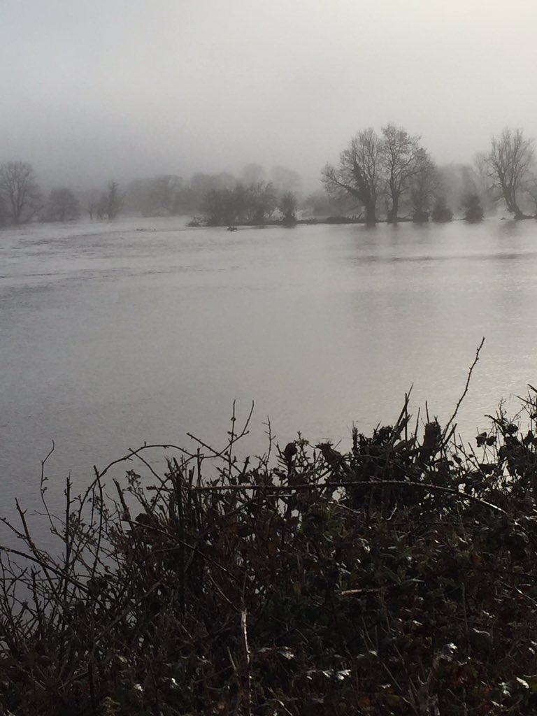 Ground conditions are a little tricky for the 2nd round of grazing 🙈