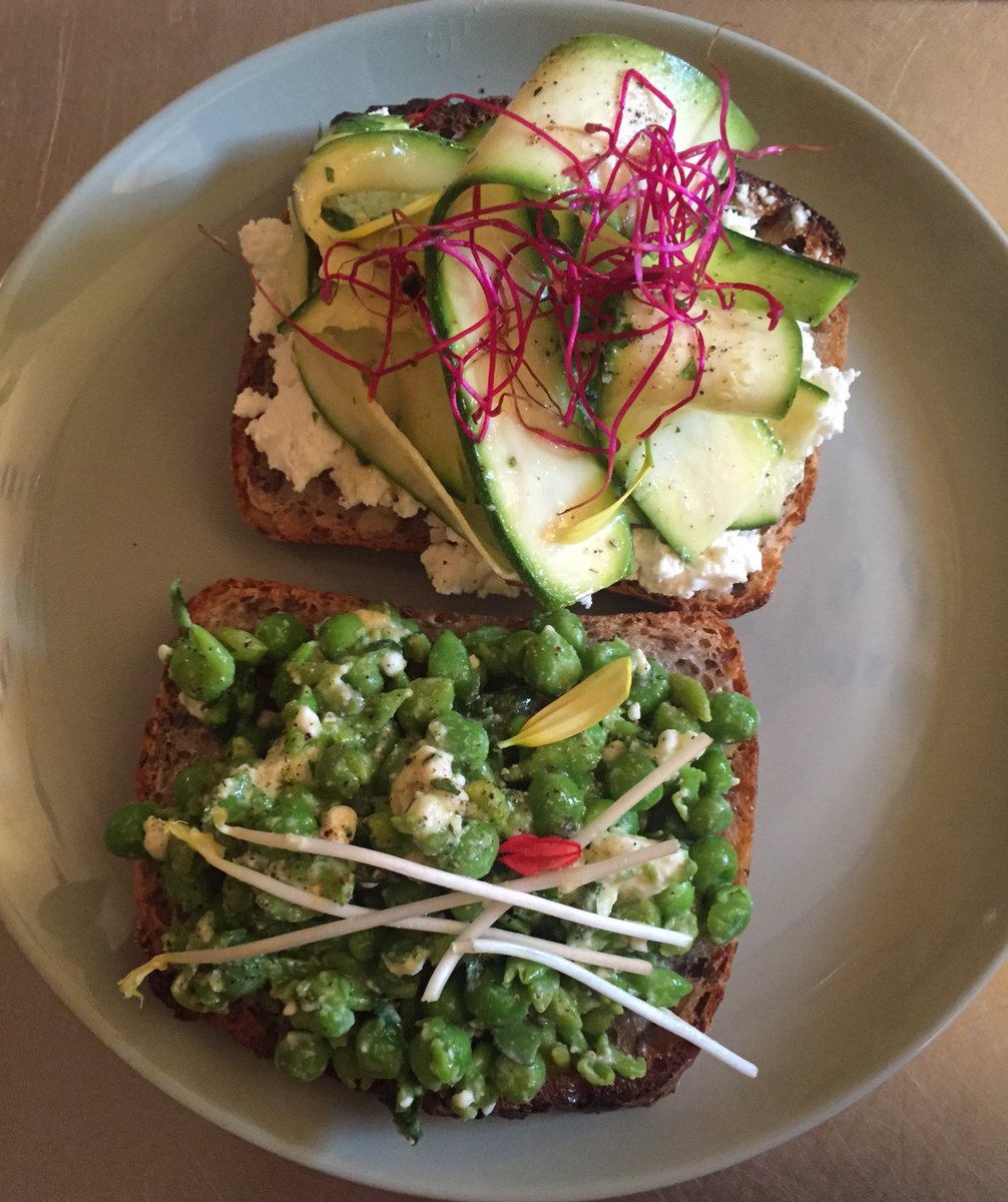 Fiona Sinclair Scott tweet media