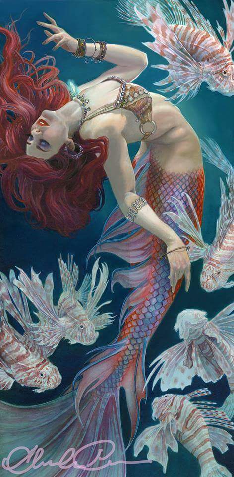 Alessandra Pisano A Dance with Lionfish...