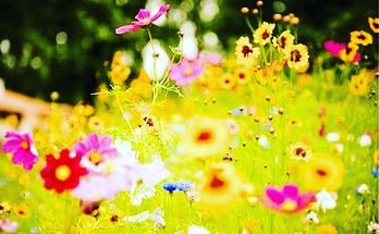 SolplusTula's tweet image. Скажи нет аллергии.  Тула ул.Болдина 107 тел 8-953-198-96-86