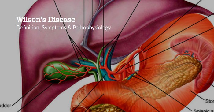 Meducation tweet media