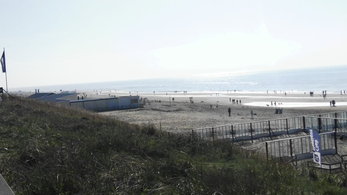 Hollandsgate's tweet photo. #Netherlands #Europe https://t.co/ireXc2CmgS