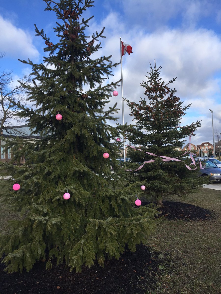 MsMirzaPDSB's tweet photo. #DayofPink #PinkestschoolinPeel @PeelSchools @dayofpink @northparkssca https://t.co/WCwoksLoGB