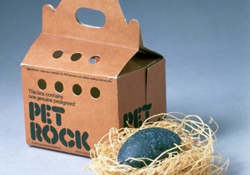 THE CREATOR OF THE PET ROCK made millions. Hmmm. Enter your rocking innovation by Friday! rockthecotswolds.com/innovation.html