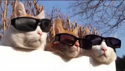 Aujourd'hui encore, le soleil nous tient compagnie... Bonne journée ! :-)