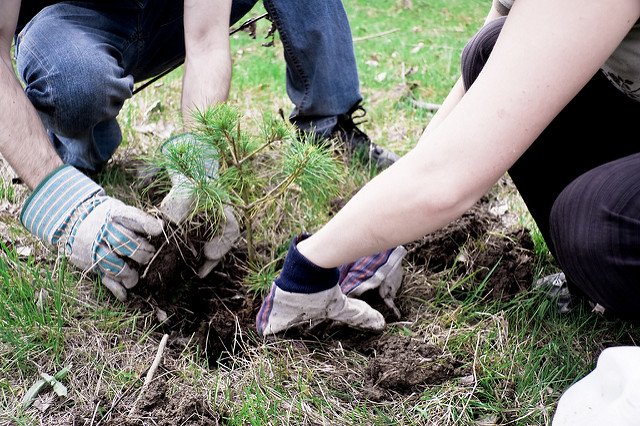 GreenBizWorld tweet picture
