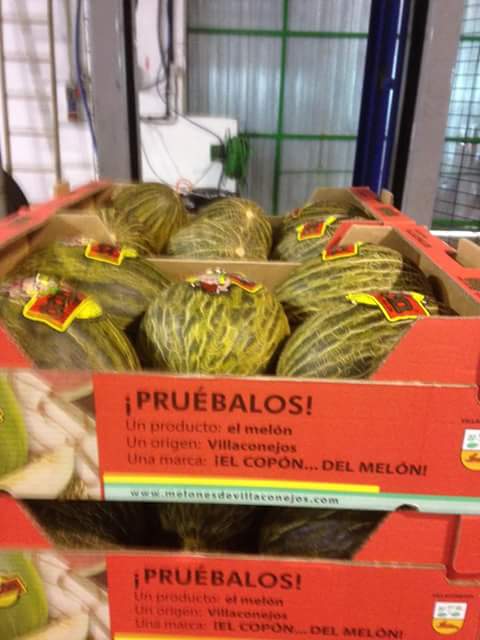 Sirviendo pedidos de #melonelcopon#fruta #melon#Eleclerc#Aranjuez#lomejor#vidasana#especial