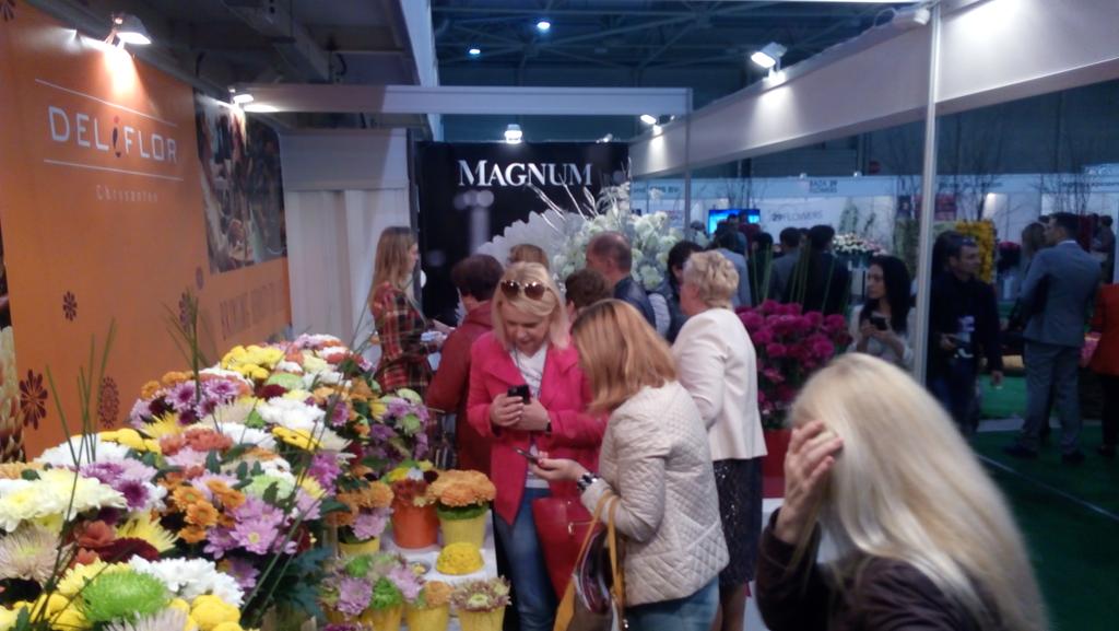 Opstellen in rijen van drie op dit moment in de <a href="/Deliflor/">Deliflor Chrysanten</a> stand <a href="/FlowerExpoUA/">Flower Expo Ukraine</a>