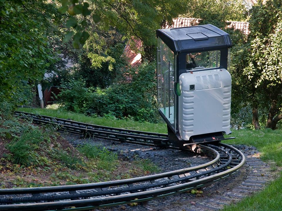 Resort_Access's tweet image. The perfect solution for #disabledaccess to #WildlifeParks, #wetlands or #NatureReserves ow.ly/10djts