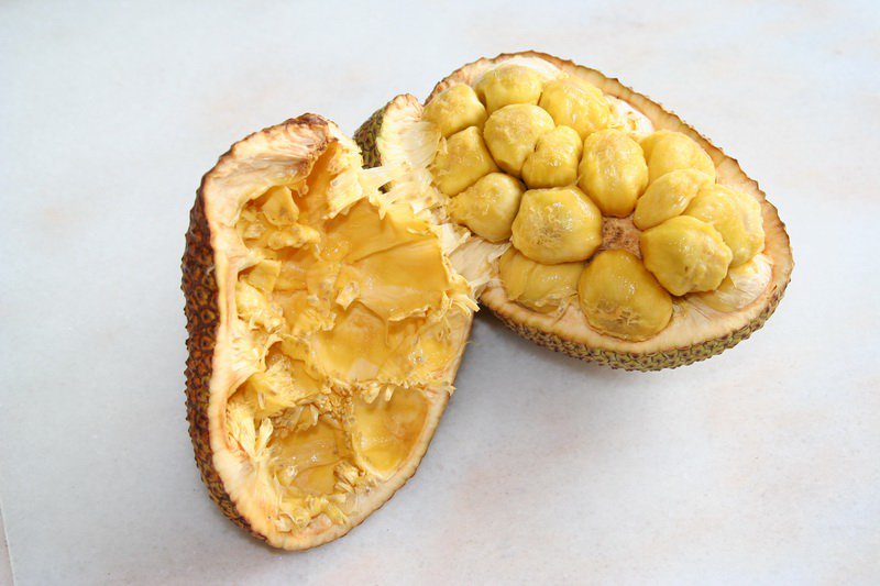 theplothostels's tweet photo. Have you seen this in #Singapore? The unusual fruit is called #cempedak, and it's similar to jackfruit. #SGFoodies https://t.co/LenrKX4z8D