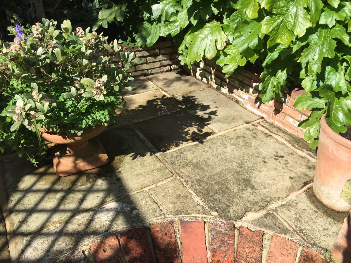 SparklingSW10's tweet photo. #Sparklingsolutions -Day 2
#Perrymeadroad #parsonsgreen
#floorcleaning #carpetcleaning #woodfloorcleaning #tileclean https://t.co/tnQ0rmhzIN