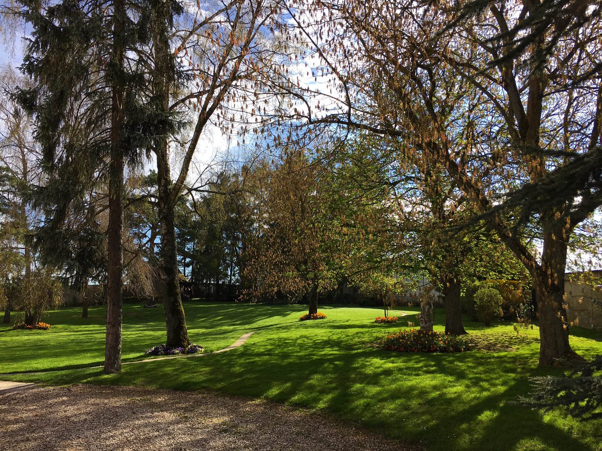 PloyezJ's tweet photo. Superbe vue sur le jardin ensoleillé ce matin #springtime #sunrays #garden #champagneployezjacquemart https://t.co/qJIEtlBcLg