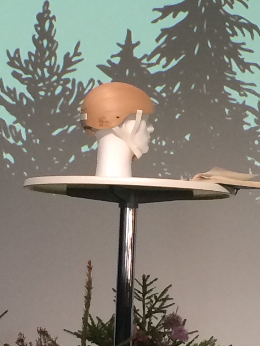 skogssverige's tweet photo. #snv16: Hjälm i trä med 3D-fanér, böjligt i 2 riktningar samtidigt o vispad nanocellulosa Cellutech. Rasmus Malbert https://t.co/FklndUQncj