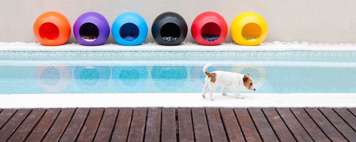 IZcrowd's tweet photo. ¡Bubble alegra a tu #perro o #gato! La caseta de diseño @Singularpets que encontrarás en IZ https://t.co/V8xpb60Oqc https://t.co/X5eLCPlBh1