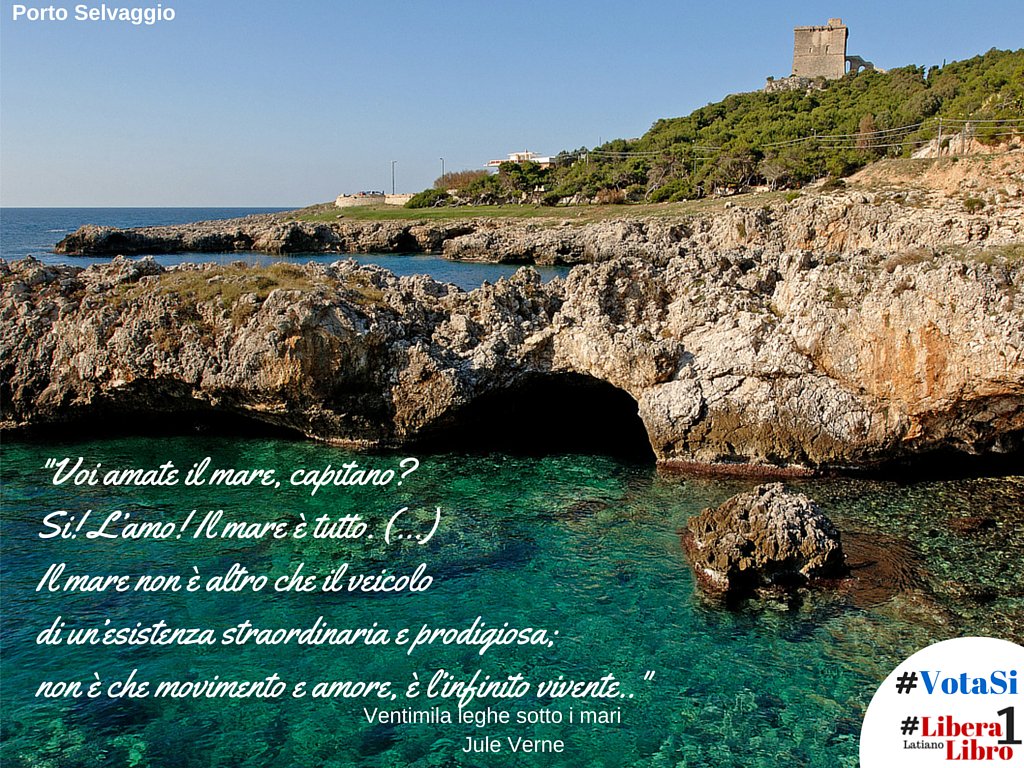 libera1libro's tweet photo. #libera1libro #citazioni
-Voi amate il mare, capitano?
-Si! L’amo! Il mare è tutto.
#VotaSi #NoTriv https://t.co/uueZAWOX9B