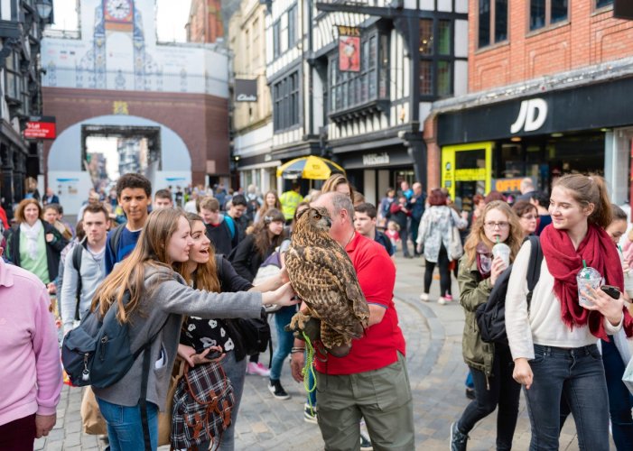 ChesterTownHall's tweet photo. More Easter fun in the Town Hall Square today! Birds of Prey with the Lord of the Wings 11am-4pm @CH1Chester https://t.co/wXzJR4WUNE