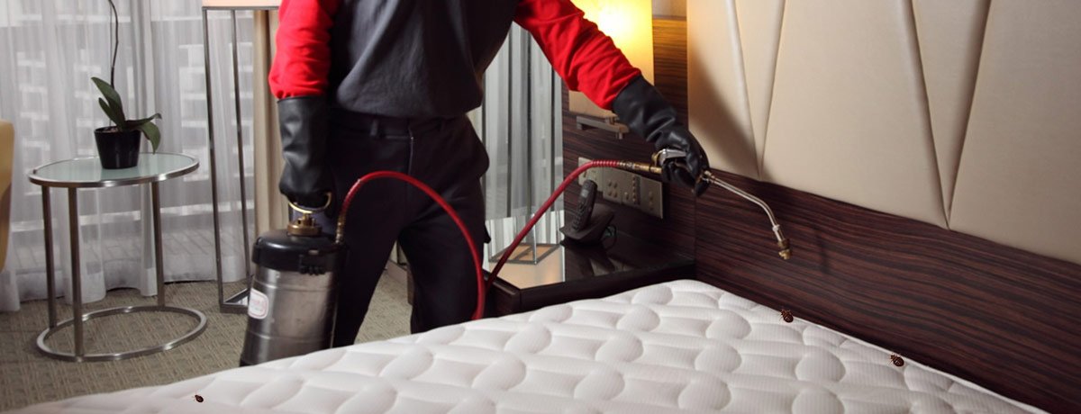 absgroup55's tweet photo. #Bedbugs can be hard to find and identify, We can help you to get them out &amp; keep them away forever. #pestcontrol https://t.co/Z0hu1mrdE8
