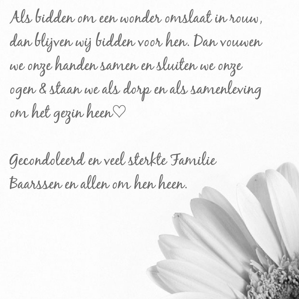 Kitty (@misskiddycat) on Twitter photo 