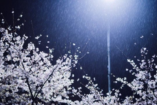 aesthetic_minho's tweet photo. Minho and Sehun

#HappySehunDay
#Minho #Sehun #SHINee #EXO #SHINeeExo https://t.co/9kKZUYVfmI