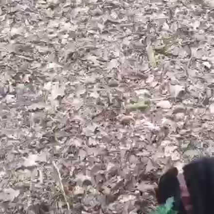 KatchHQ's tweet photo. @anjabaelemans |REPLAY| #socialscope #nlscope Hoe gaat het met.......๐ #katch #Periscope https://t.co/7WQlsUyepp https://t.co/goEugeeE7D