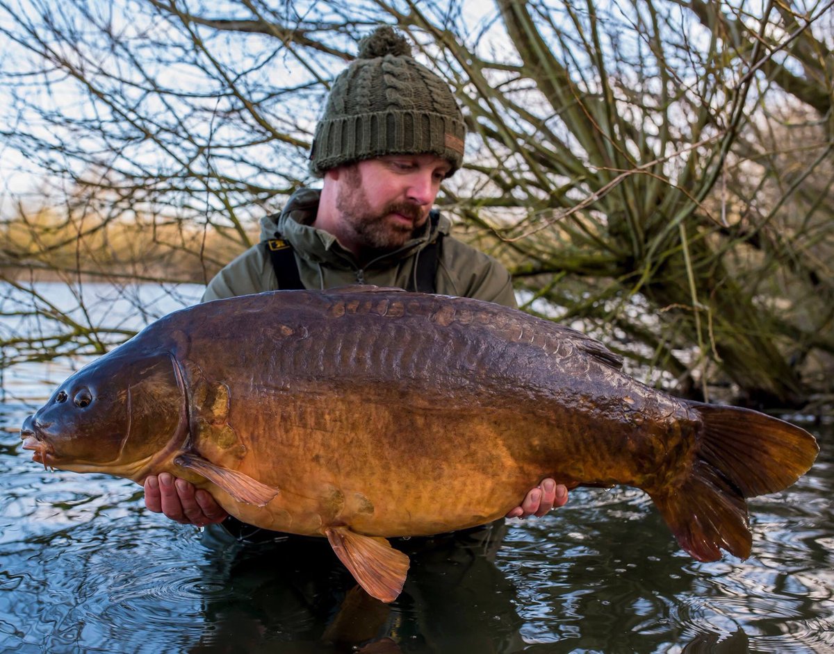 StickyOfficial's tweet photo. 12mm White Chocolate pop-ups fished over crushed-up Manilla, resulted in this 34lb mirror for Scott.#Manilla https://t.co/HOwrASoEQL