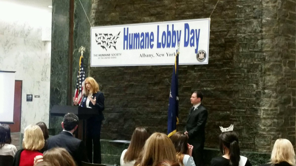 Animal hero <a href="/LindaBRosenthal/">Linda B. Rosenthal “the #OriginalRosenthal”</a> speaking at @HumaneSociety's #HumaneLobbyDay! #WeLoveAnimalsAndWeVote