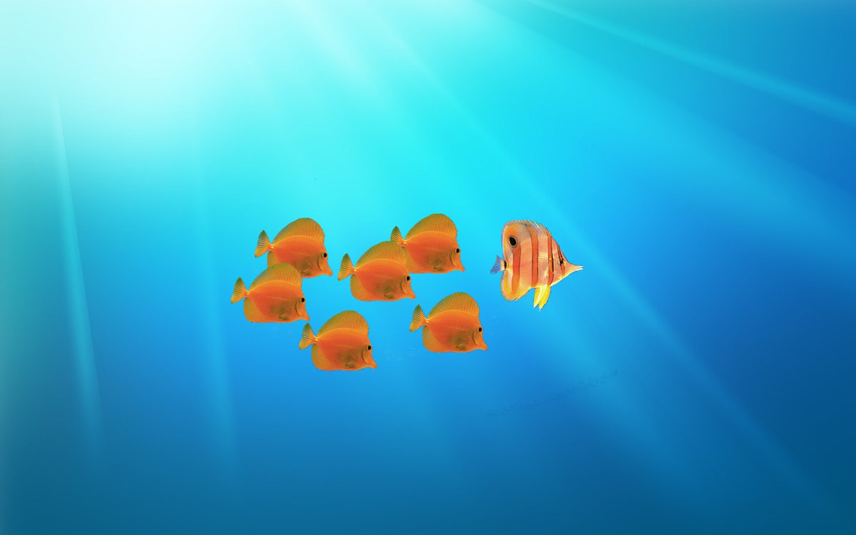 fishackathon's tweet photo. COUNTDOWN: just 7 days til @fishackathon in 40+ cities! Or join virtually at https://t.co/YUEuGy5HdK #codeforfish https://t.co/V0OcOE6La5