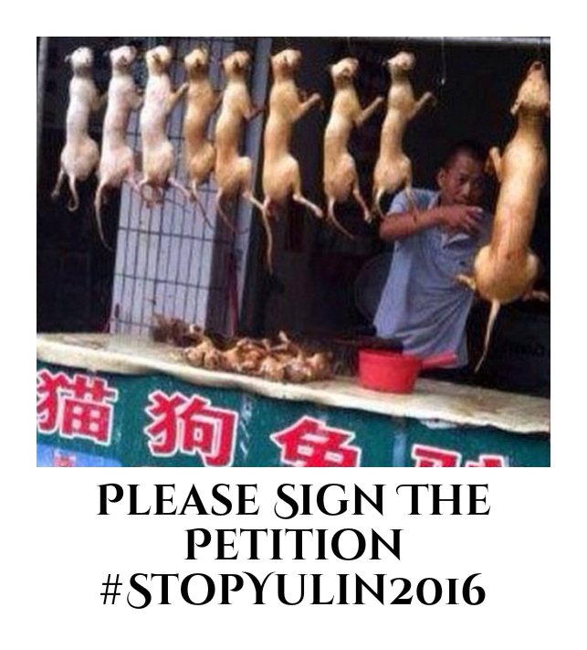 Zya23Natalia's tweet photo. 🚩Please Sign the Petition 📝

33👉https://t.co/Pd2AywmkGG

🙏Help Them🆘

#StopYulin2016
#EndDogMeatTrade https://t.co/fAgPHT7s7n