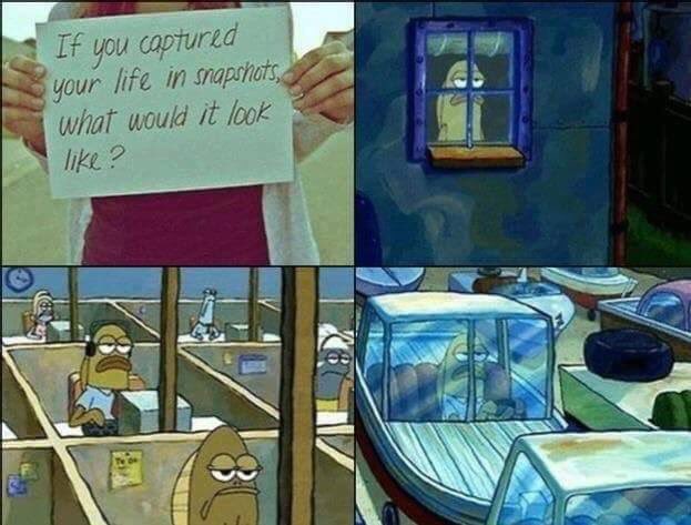 SpongeBobbyPics's tweet photo. https://t.co/ZGmnoTk0p6