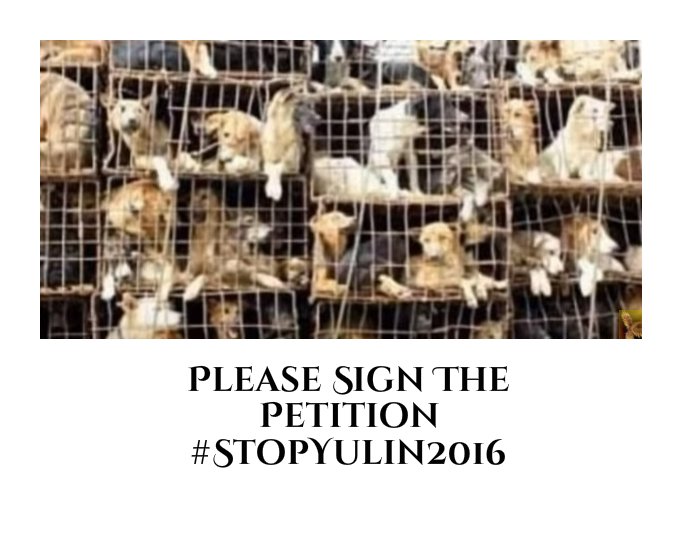 annamoor1995's tweet photo. 🚩Please Sign the Petition 📝

35👉https://t.co/LSv37qkfAn
🙏Help Them🆘

#StopYulin2016
#EndDogMeatTrade https://t.co/dGufXTAe0p
